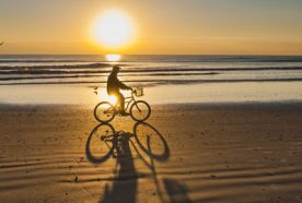 silhouette of a man cycling across beach at sunset