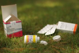 A selection of pill bottles and packets lying on the grass