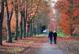 Nature-based social prescribing for mental health