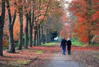 Therapeutic Nature: Nature-based social prescribing for diagnosed mental health conditions