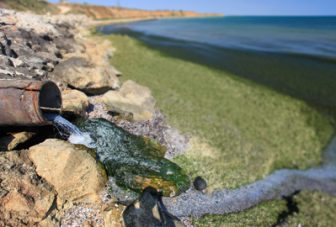 Assessing bacterial pathogens in the coastal zone