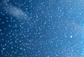 Are chemical pollutants changing patterns of disease?
