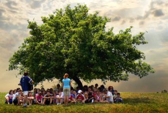 Connecting children and nature with Narrative Journey