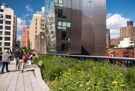 New York's High Line garden with people walking along