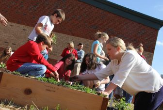 Impacts of school gardening – a systematic review