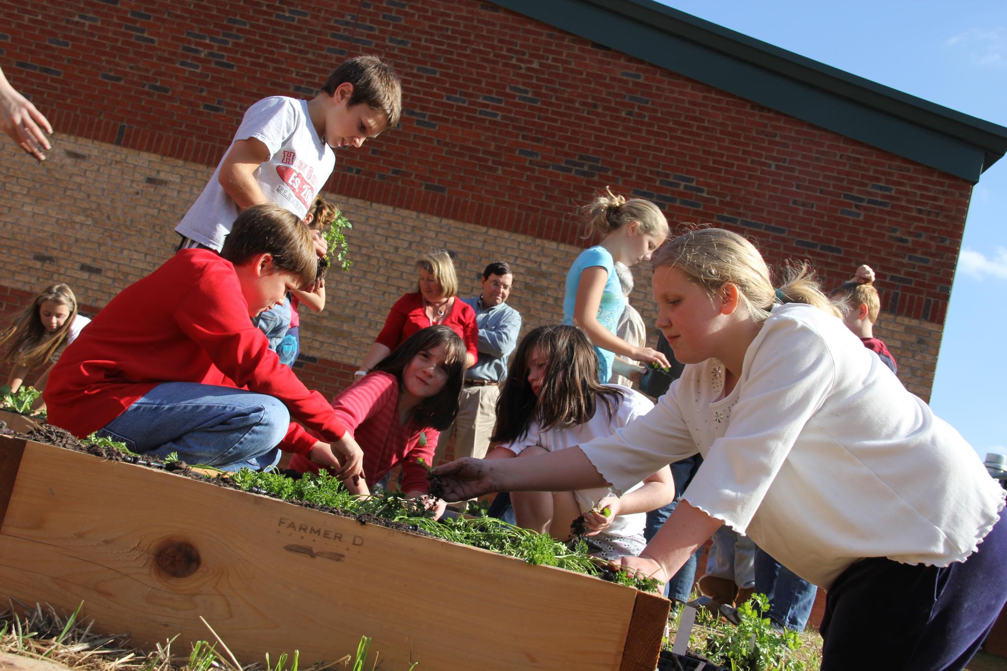 Impacts of school gardening a systematic review European Centre for