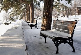 empty park bench in the snow