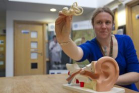 Researcher Jess Tyrrell holding part of a model ear