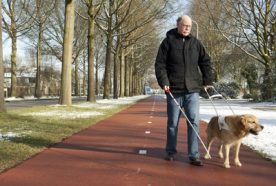 Blind person walking along path with guide dog