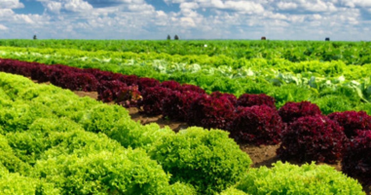 Drugs in the environment found to affect plant growth European Centre