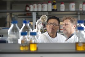 Researchers hold up a petridish to analyse its contents