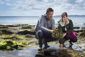 two researchers examine seaweed in a rock pool