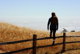 person climbing a fence into a corn field