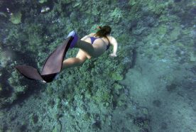 A woman dives down to a coral reef wearing a snorkel mask