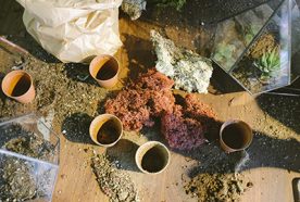 Pots and compost sit in a potting area - viewed from above