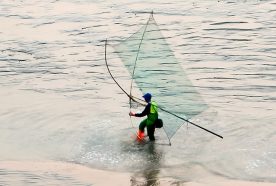 People fish with large nets in shallow water