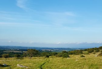 Mapping Dorset’s greenspaces