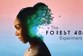 The Forest 404 branding - a woman's hair merges with a forest