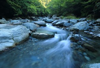 Antimicrobial resistance in freshwater microbes
