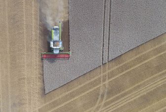 Herbicides and antibiotic resistance