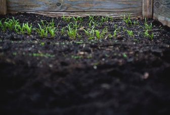 Uncovering pathogens in the soil microbiome