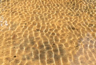 Antibiotic resistance in coastal waters