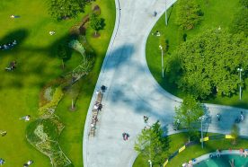 A path through a green London park viewed from above