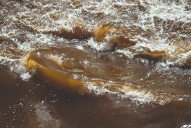 A close up of a brown river flowing