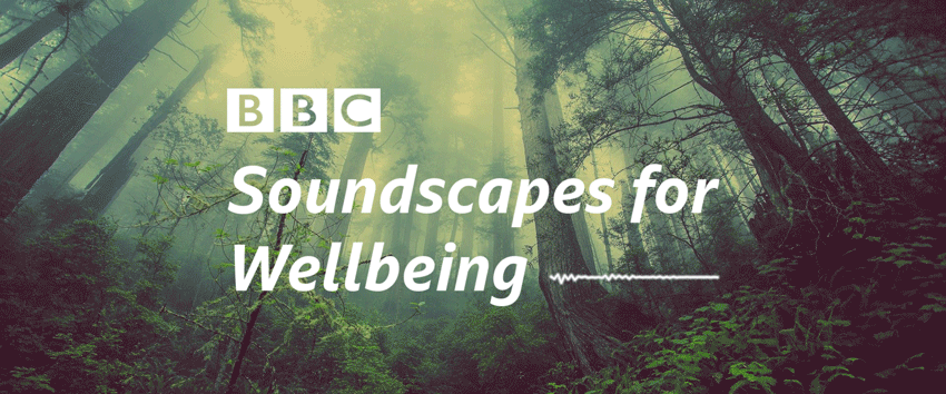 brids fly around a forest with the BBC soundscapes for wellbeing text in the foreground