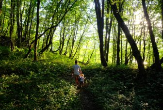Nature on prescription for mental health