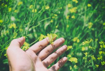 Nature, Health & Wellbeing CPD Course