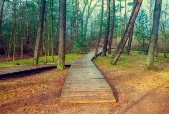 Working with government to set health and nature initiatives