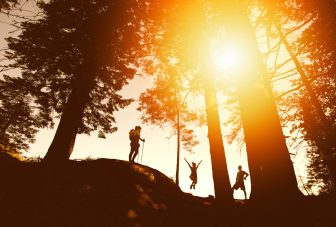 Influencing international policy on the natural environment and health