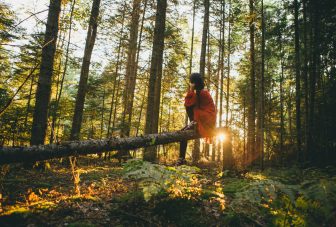 RENEW – How do individuals experience biodiversity?