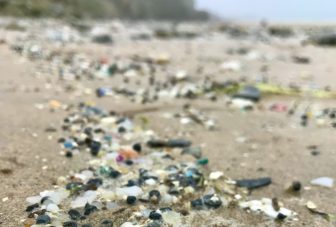Microplastics as vectors of AMR in aquatic systems