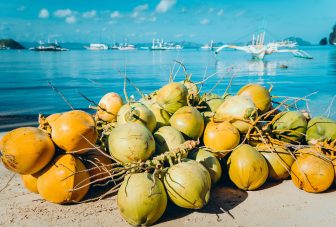 Food for nutrition and planetary health in small islands