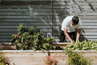Greengage pilot RCT for green social prescribing