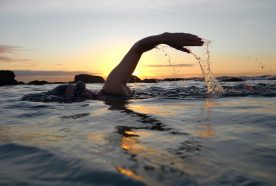 A close up of a person taking a breath as they swim in calm ocean waters with the sun setting behind them.
