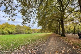A long straight path passes under trees beginning to lose their leaves at the start of autumn, with a green open space to the left.