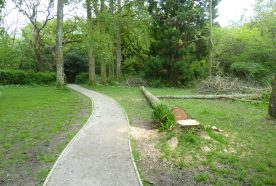 A grey gravel path winds towards a small copse of green trees