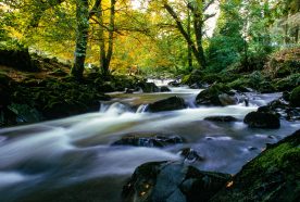 A rocky shallow fast moving river is shot on a ling exposure so the water is blurred with dappled sunlight and green leafs in the trees above.