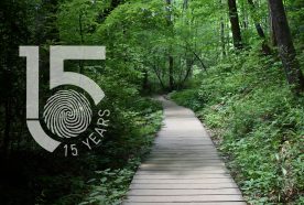 A wooden boardwalk winds through a dense green woodland. The 15yr logo sits to the left of the image.