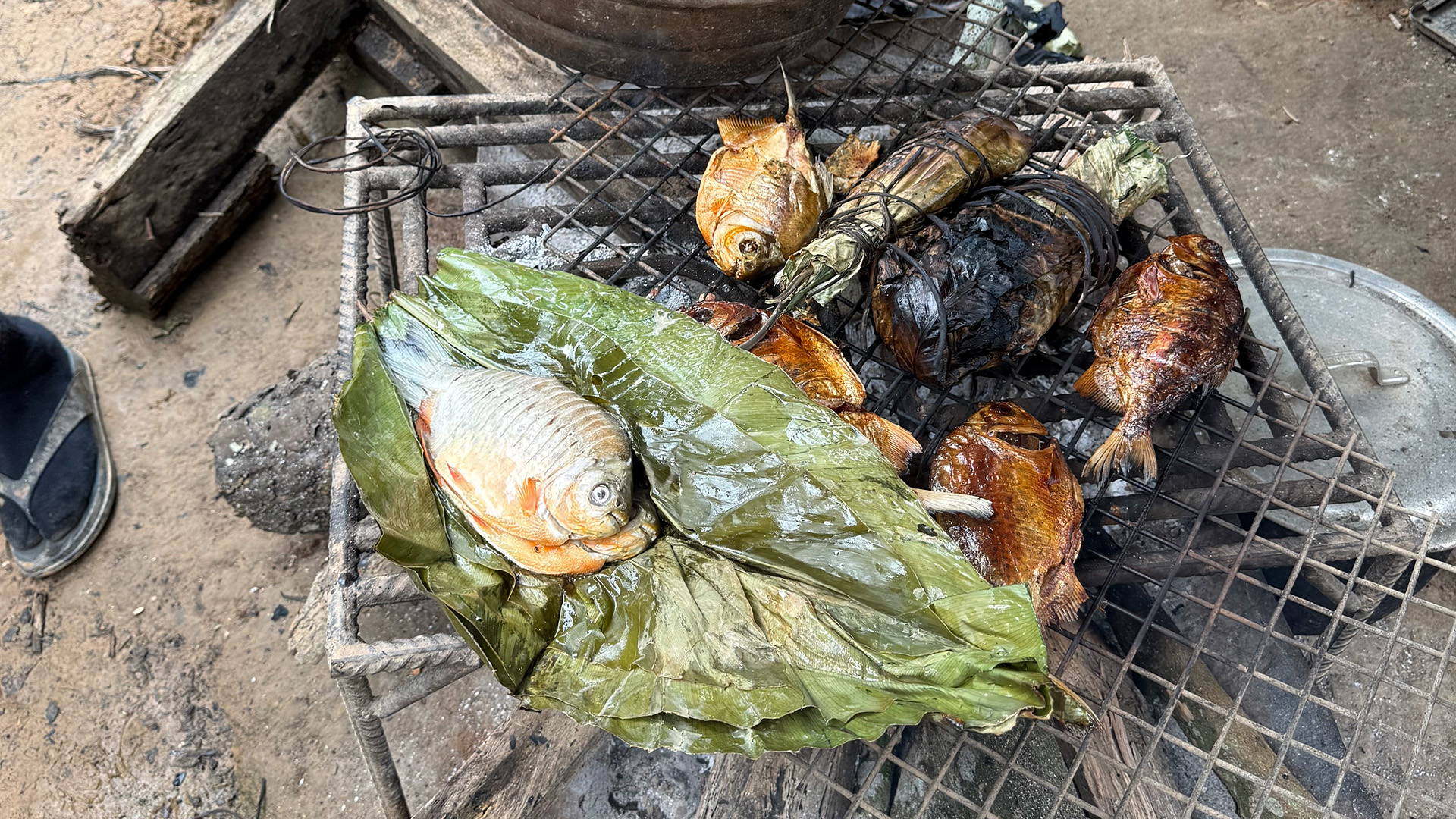 A selection of whole fish sit on a BBQ grill over coals, viewed from above.