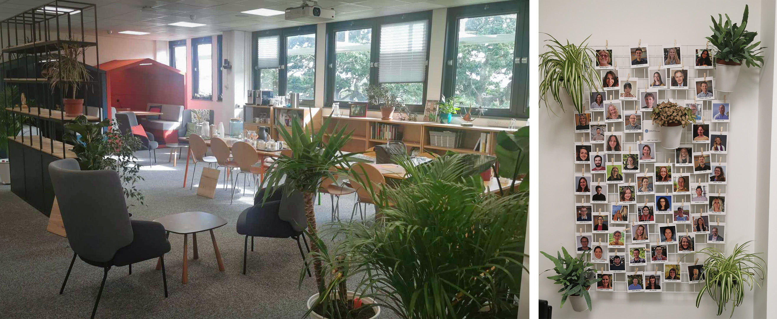 A composite image showing on the left, people stand in discussion a well lit atrium space with pot plants, tables and book shelves. And on the right, a board with polaroid photos of staff members.